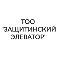 zashitinsky-elevator